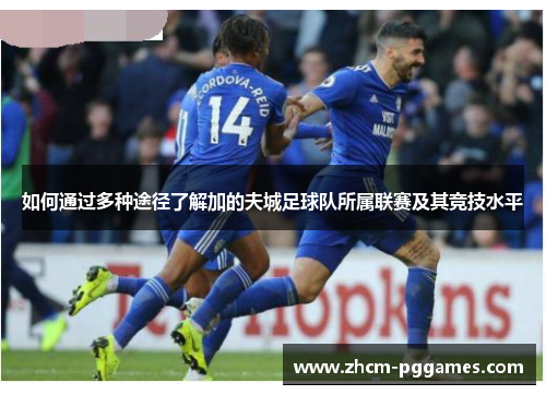 如何通过多种途径了解加的夫城足球队所属联赛及其竞技水平