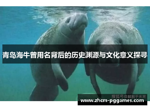 青岛海牛曾用名背后的历史渊源与文化意义探寻
